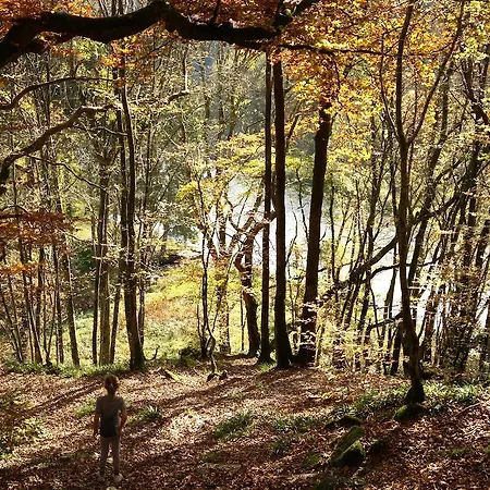 Feriehus Poppenhuis Durbuy